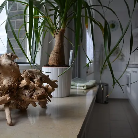 Apartamento Innenstadt Essen