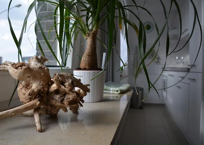 Lejlighed Innenstadt Essen